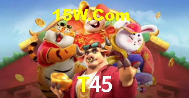 Premium Interface T45